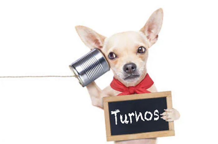 secretario de Turnos